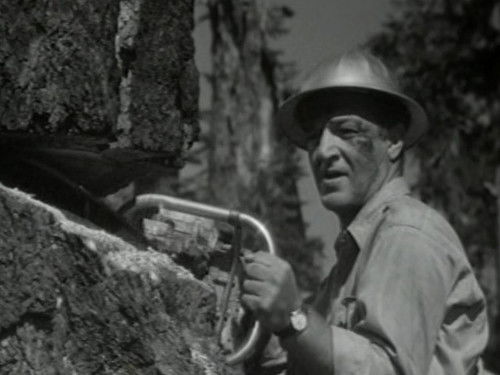 Escena del episodio 8 de la temporada 1 de Route 66