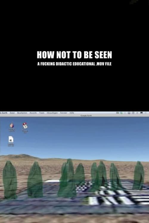 How Not to Be Seen: A Fucking Didactic Educational .MOV File (2013) poster