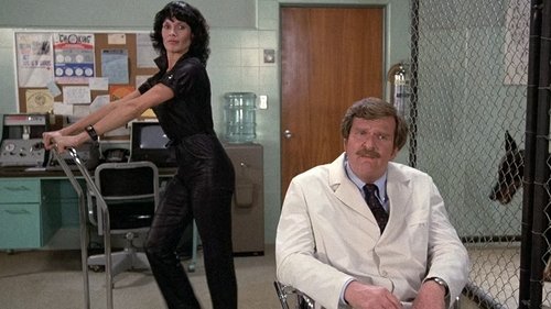 Poster della serie Hart to Hart