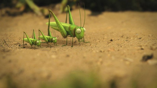 The grasshopper who didn't know how to leap