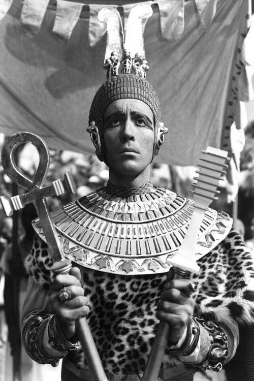 Pòster de The Mummy (Hammer) Collection