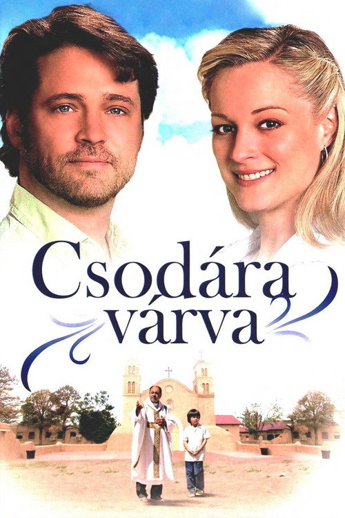 Expecting a Miracle poster