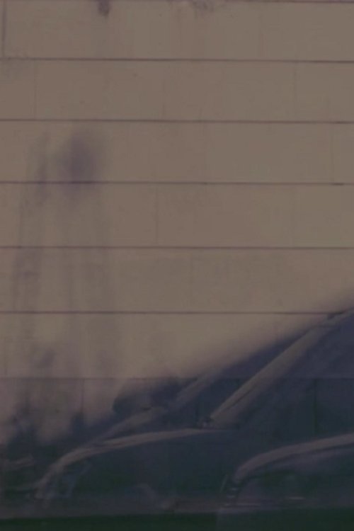 The Captured Light of an Instant movie poster player