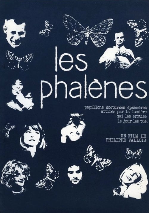 Les phalènes 1975