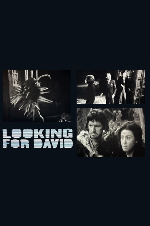 Looking for David Poster
