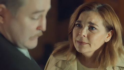 Poster della serie The Guest