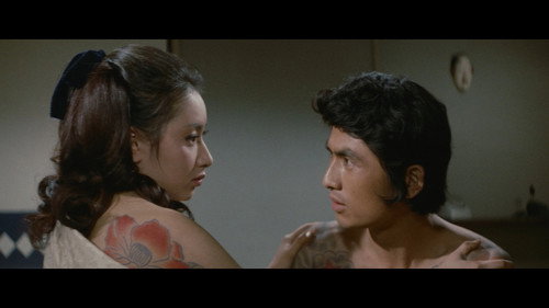 13 Steps of Maki: The Young Aristocrats