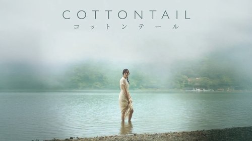 Cottontail