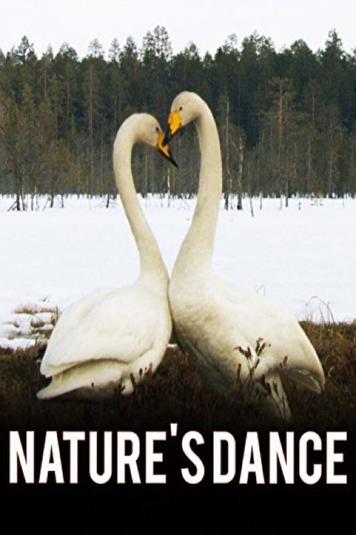 Nature's Dance poster