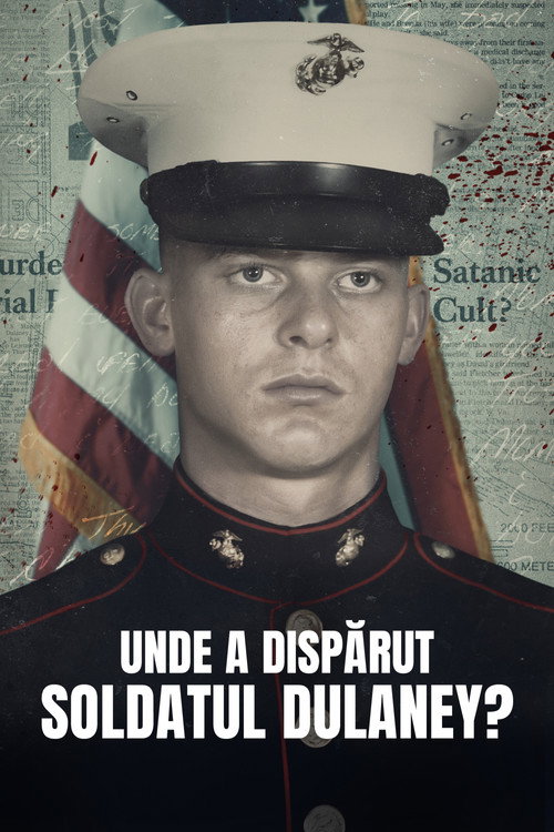 Poster Unde a dispărut soldatul Dulaney?