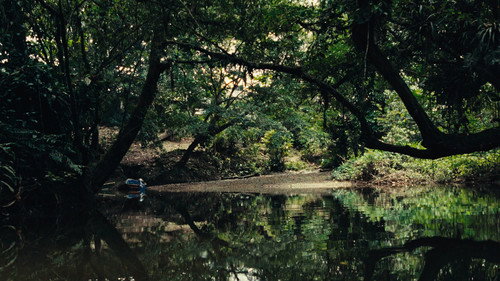 buen vivir – ñutse canseye