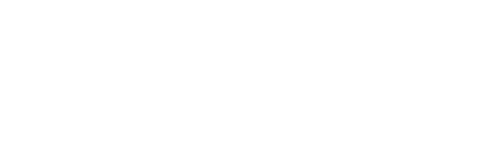 The Forgotten Army