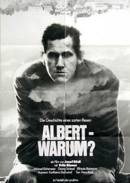 Albert - warum? 1978