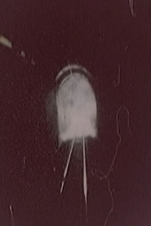 Hibaku Ningen X