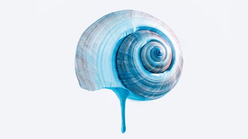 The Blue Trail cover