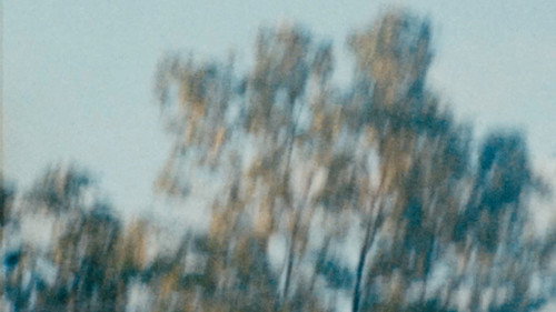 A Portrait of a Place in Transition