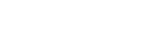 2010
