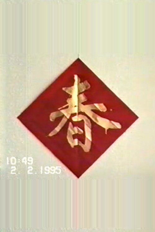 1995年2月2日民间举办迎喜花会 poster