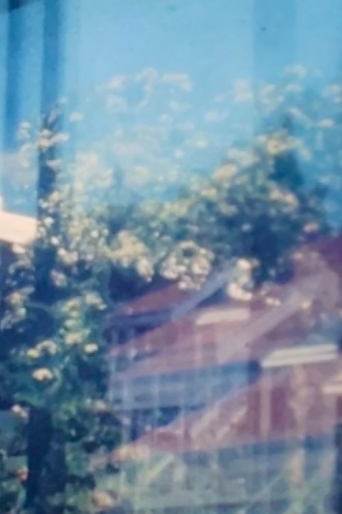 Suburban Windows (1981) poster