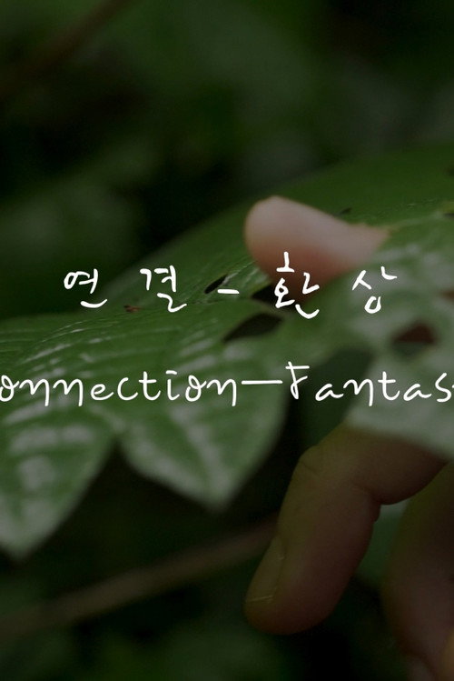 Connection—Fantasy
