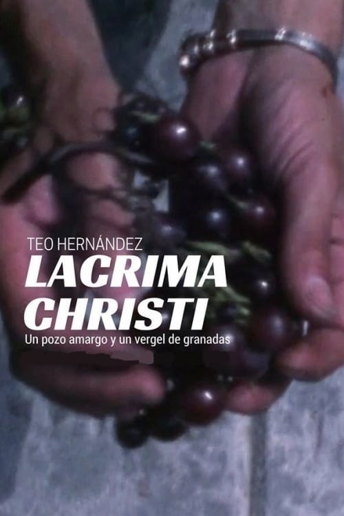 Lacrima Christi 1980