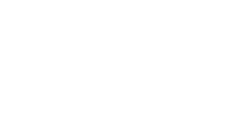 Hudson Hawk