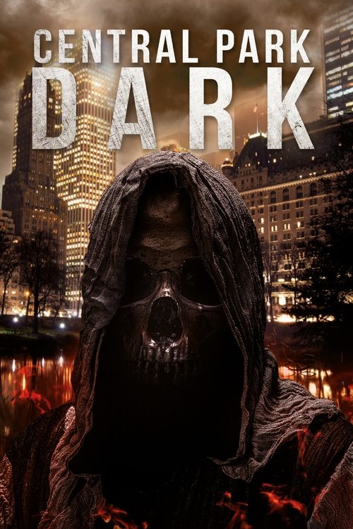 Central Park Dark poster