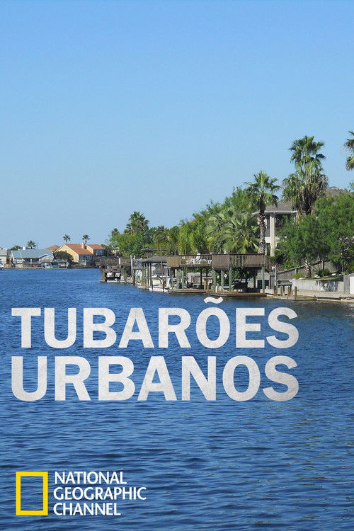 Tubarões Urbanos