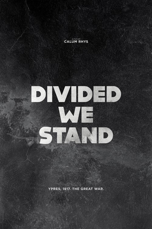 Divided We Stand movie poster player