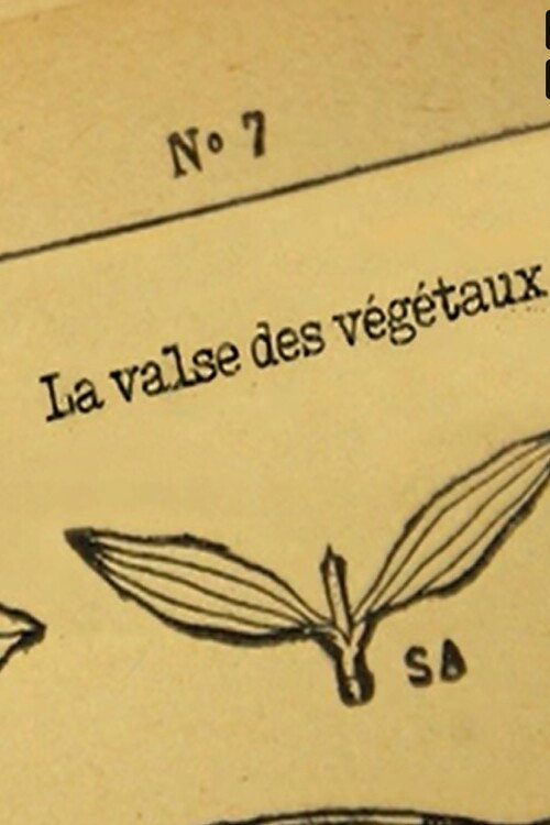 La valse des végétaux