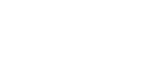 Blue Jay