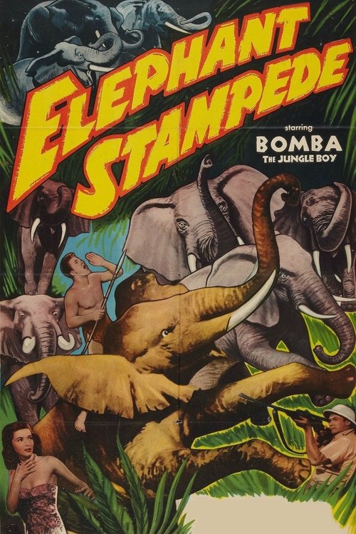 Elephant Stampede 1951