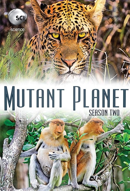 Where to stream Mutant Planet Season 2