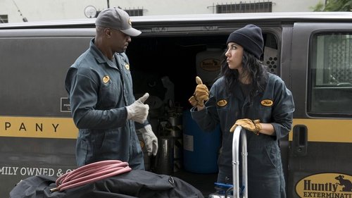 Lei & Desordem: 2×11