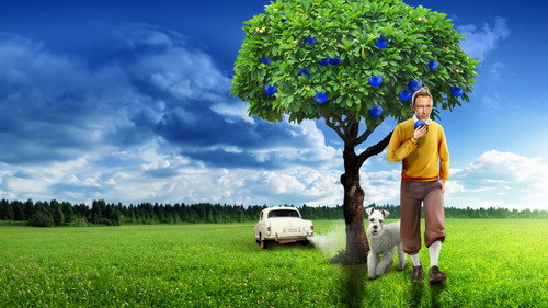 Tintin and the Blue Oranges