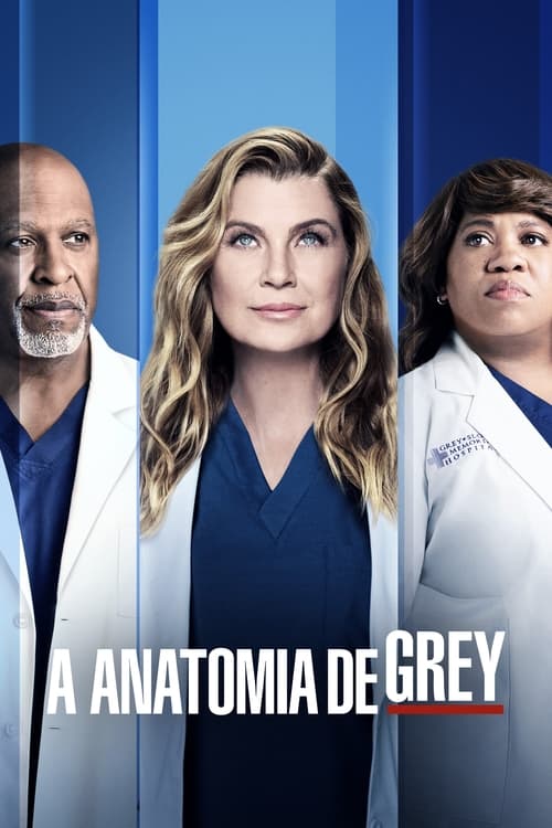 Assistir A Anatomia de Grey 18 Temporada - HD 1080p Dublado Online Grátis HD