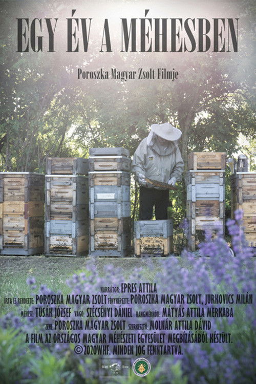 Egy év a méhesben poster