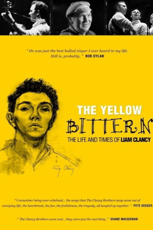 Cartell de The Yellow Bittern
