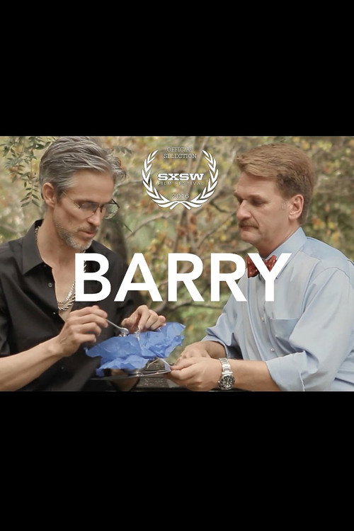 Barry poster