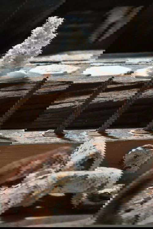 Poster Boom -> Bust (Vicious Cycles #1) 2019