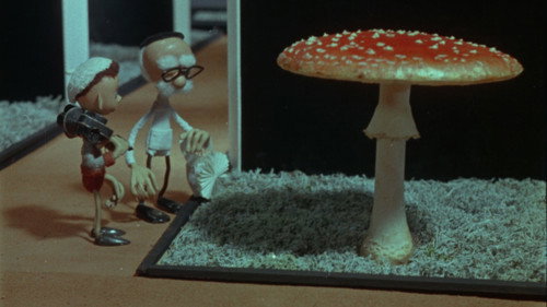 Cameraman Kõps in Mushroomland