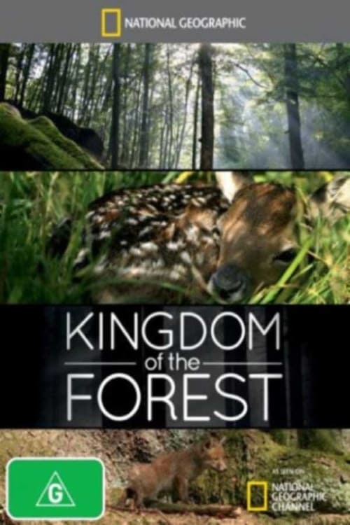 Kingdom of the Forest 2008