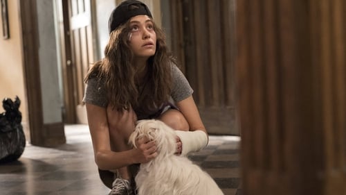 Shameless (US): 9×7