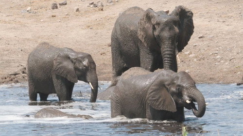 Limpopo River
