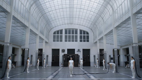 Memory of a Mycelium