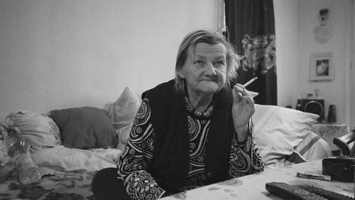 Escena del episodio 1443 de la temporada 32 de Stern TV