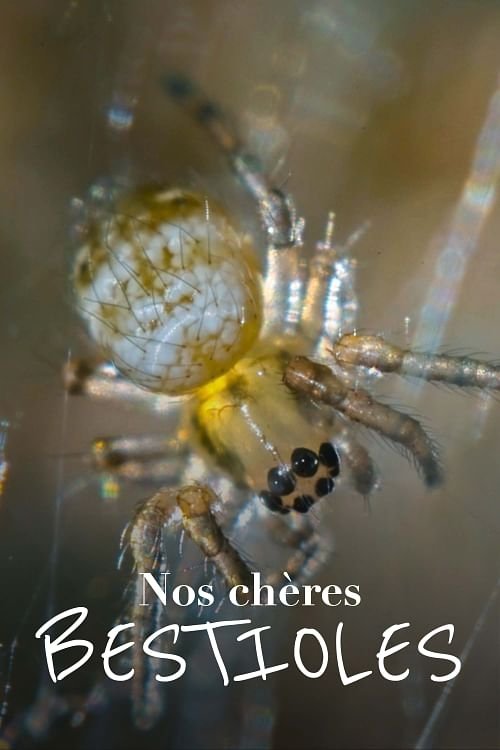 Poster Nos chères bestioles