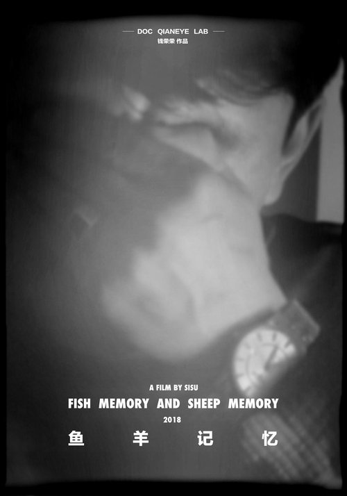 Fish Memory and Sheep Memory poster