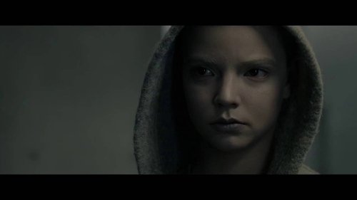 Morgan (2016)