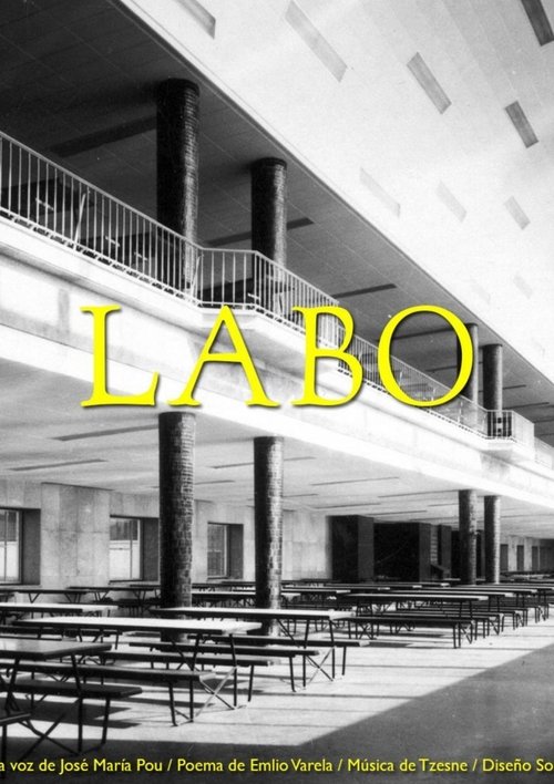 Labo movie poster player